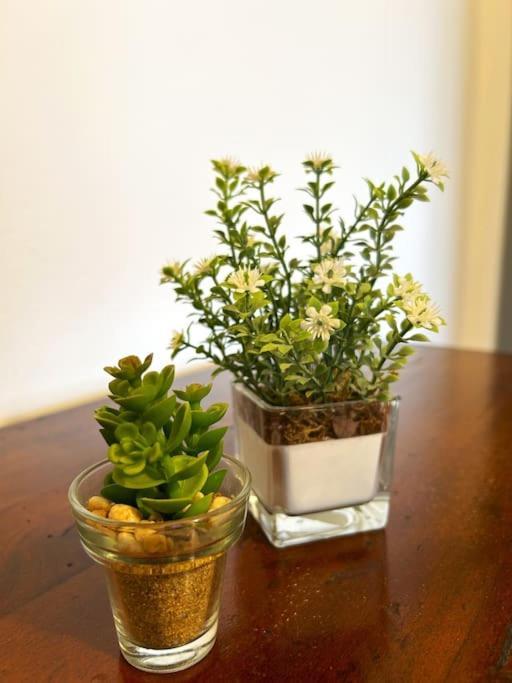 佛罗伦萨Il Fiorino Di Careggi公寓 外观 照片